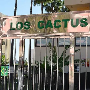 Cactus Apartamento Playa del Inglés